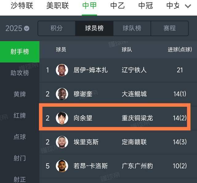 培养的蒯纪, VnbWR, 国家队的教